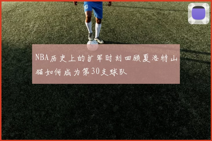 NBA历史上的扩军时刻回顾夏洛特山猫如何成为第30支球队